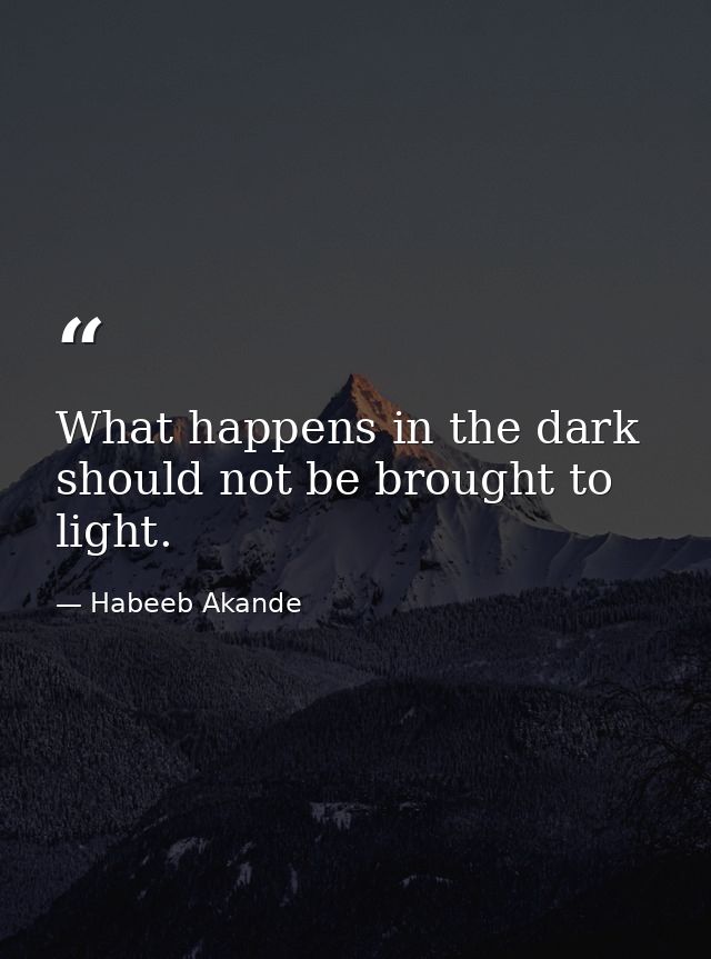 What happens in the dark should not be brought to light. — Habeeb Akande