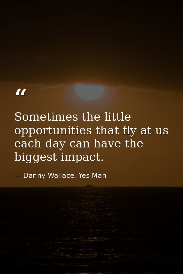 Sometimes the little opportunities that fly at us each day can have the biggest impact. — Danny Wallace, Yes Man