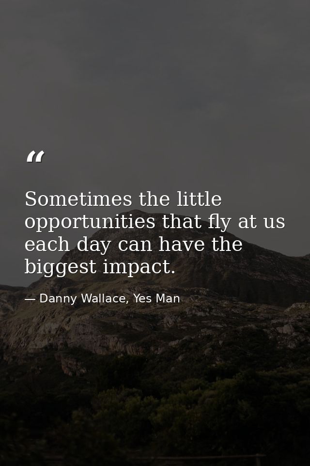 Sometimes the little opportunities that fly at us each day can have the biggest impact. — Danny Wallace, Yes Man