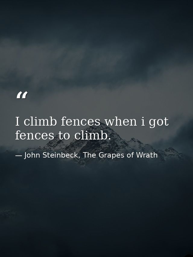 I climb fences when i got fences to climb. — John Steinbeck, The Grapes of Wrath