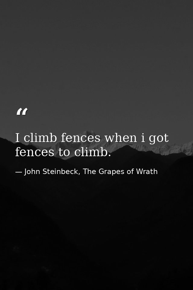 I climb fences when i got fences to climb. — John Steinbeck, The Grapes of Wrath