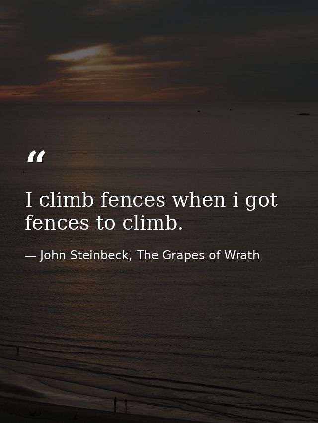 I climb fences when i got fences to climb. — John Steinbeck, The Grapes of Wrath