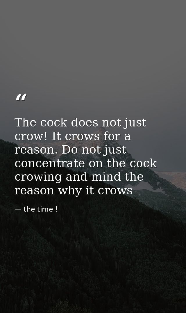 The cock does not just crow! It crows for a reason. Do not just concentrate on the cock crowing and mind the reason why  — the time !
