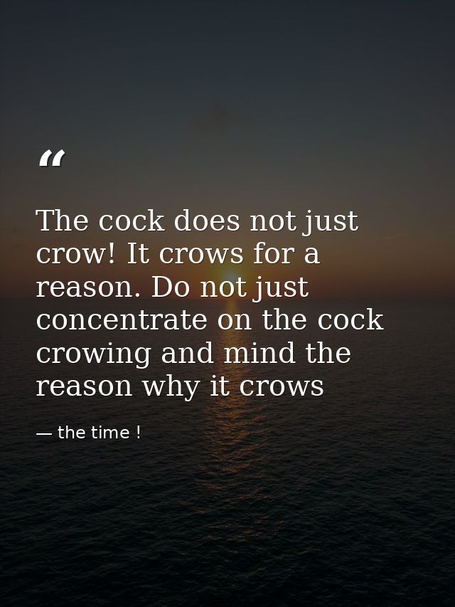 The cock does not just crow! It crows for a reason. Do not just concentrate on the cock crowing and mind the reason why  — the time !