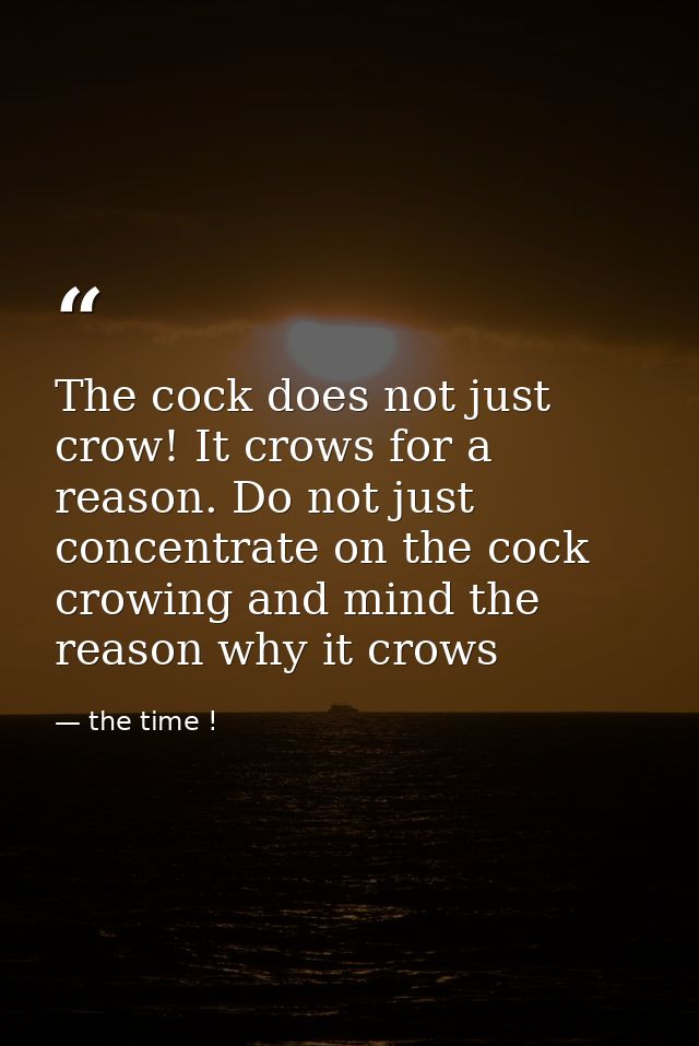 The cock does not just crow! It crows for a reason. Do not just concentrate on the cock crowing and mind the reason why  — the time !