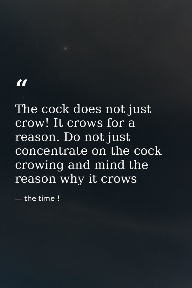The cock does not just crow! It crows for a reason. Do not just concentrate on the cock crowing and mind the reason why  — the time !