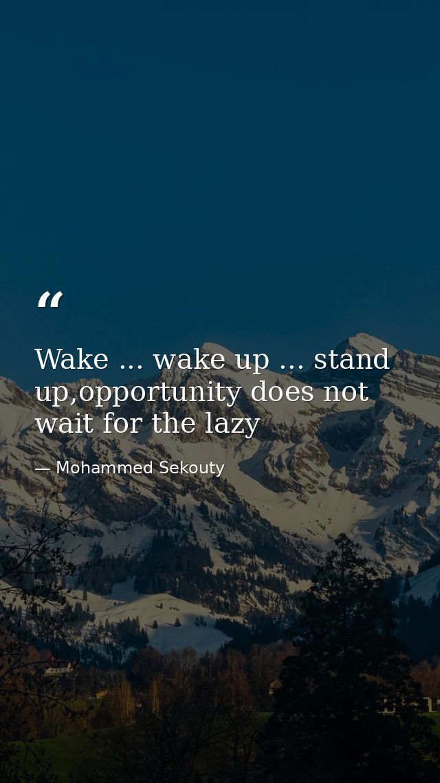 Wake ... wake up ... stand up,opportunity does not wait for the lazy — Mohammed Sekouty