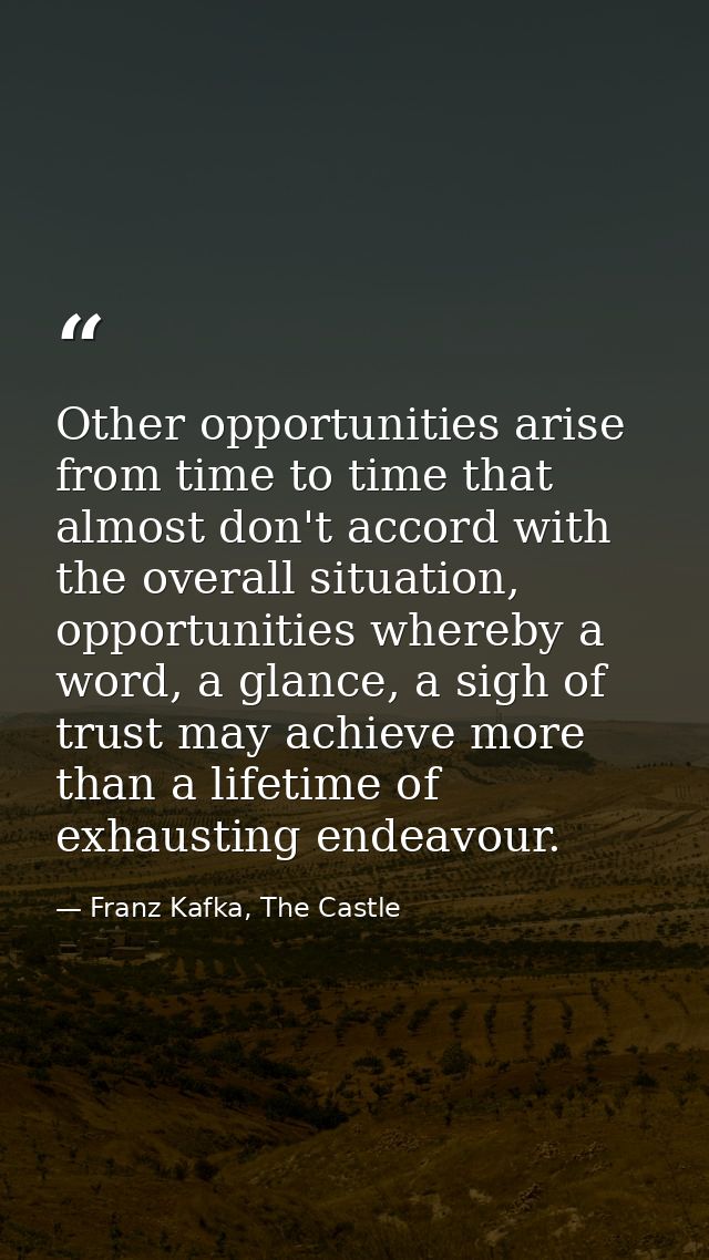 Other opportunities arise from time to time that almost don't accord with the overall situation, opportunities whereby a — Franz Kafka, The Castle