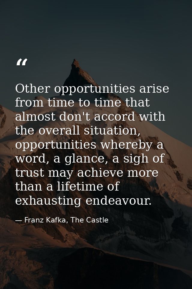 Other opportunities arise from time to time that almost don't accord with the overall situation, opportunities whereby a — Franz Kafka, The Castle