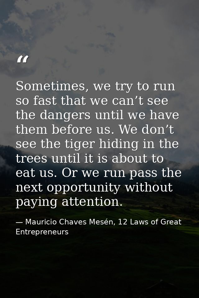 Sometimes, we try to run so fast that we can’t see the dangers until we have them before us. We don’t see the tiger hidi — Mauricio Chaves Mesén, 12 Laws of Great Entrepreneurs