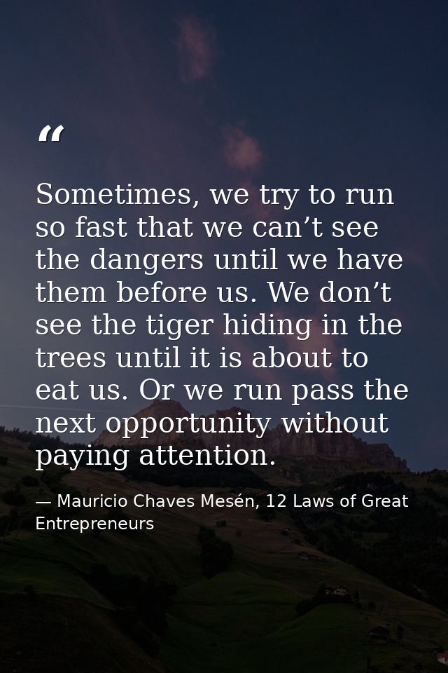 Sometimes, we try to run so fast that we can’t see the dangers until we have them before us. We don’t see the tiger hidi — Mauricio Chaves Mesén, 12 Laws of Great Entrepreneurs