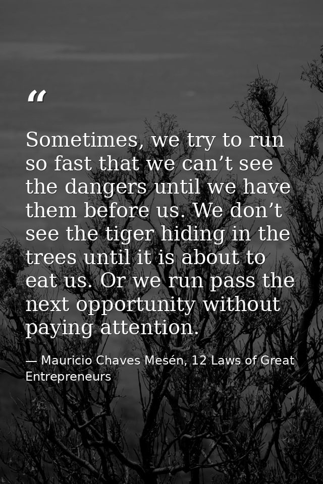 Sometimes, we try to run so fast that we can’t see the dangers until we have them before us. We don’t see the tiger hidi — Mauricio Chaves Mesén, 12 Laws of Great Entrepreneurs