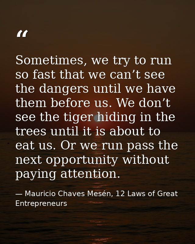 Sometimes, we try to run so fast that we can’t see the dangers until we have them before us. We don’t see the tiger hidi — Mauricio Chaves Mesén, 12 Laws of Great Entrepreneurs