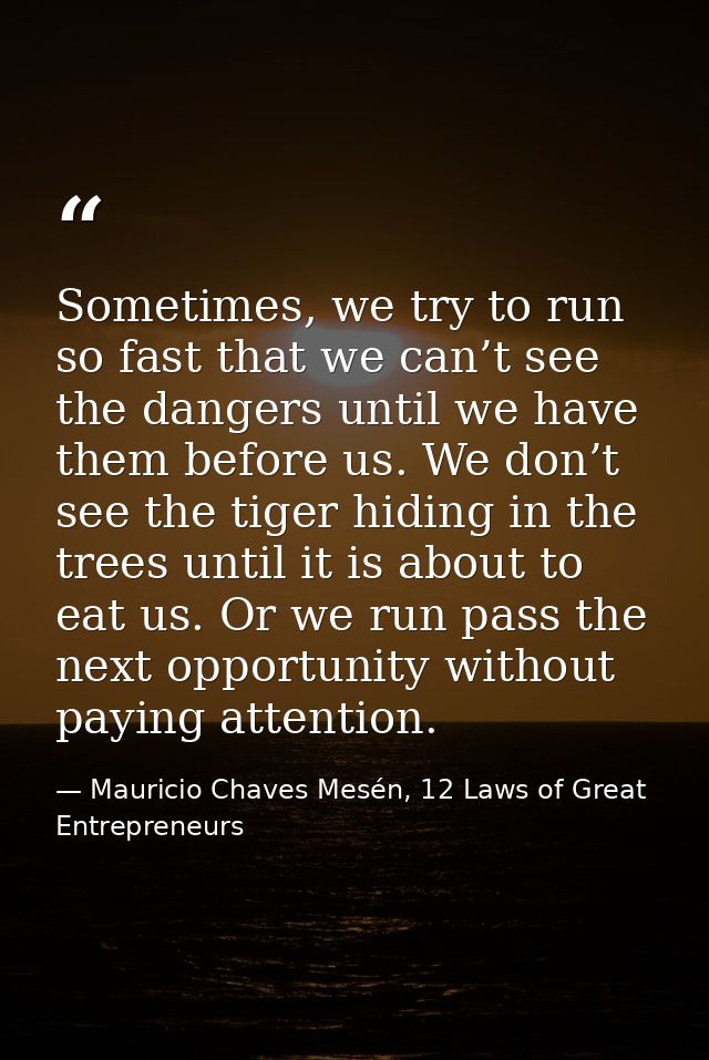 Sometimes, we try to run so fast that we can’t see the dangers until we have them before us. We don’t see the tiger hidi — Mauricio Chaves Mesén, 12 Laws of Great Entrepreneurs