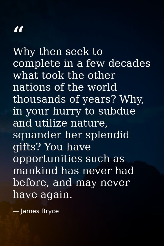Why then seek to complete in a few decades what took the other nations of the world thousands of years? Why, in your hur — James Bryce