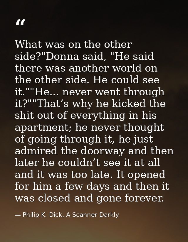 What was on the other side?"Donna said, "He said there was another world on the other side. He could see it.""He... neve — Philip K. Dick, A Scanner Darkly