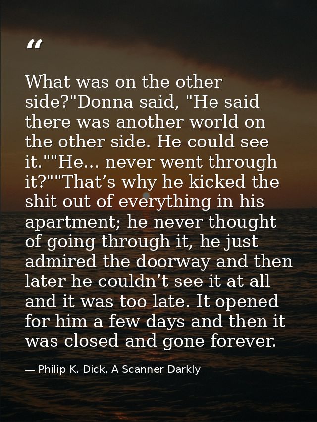 What was on the other side?"Donna said, "He said there was another world on the other side. He could see it.""He... neve — Philip K. Dick, A Scanner Darkly