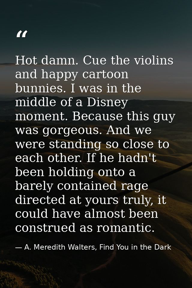 Hot damn. Cue the violins and happy cartoon bunnies. I was in the middle of a Disney moment. Because this guy was gorgeo — A. Meredith Walters, Find You in the Dark