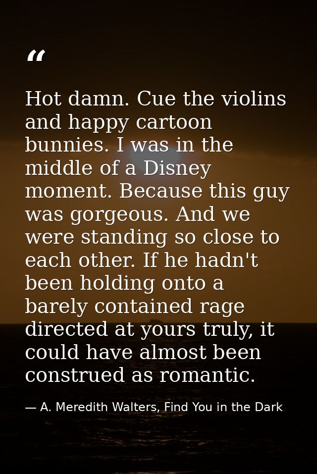 Hot damn. Cue the violins and happy cartoon bunnies. I was in the middle of a Disney moment. Because this guy was gorgeo — A. Meredith Walters, Find You in the Dark
