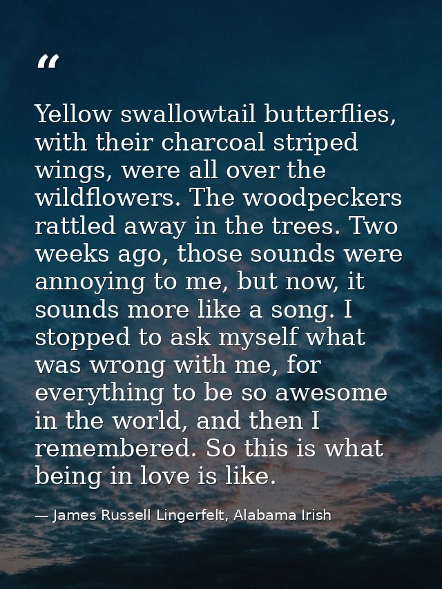 Yellow swallowtail butterflies, with their charcoal striped wings, were all over the wildflowers. The woodpeckers rattle — James Russell Lingerfelt, Alabama Irish