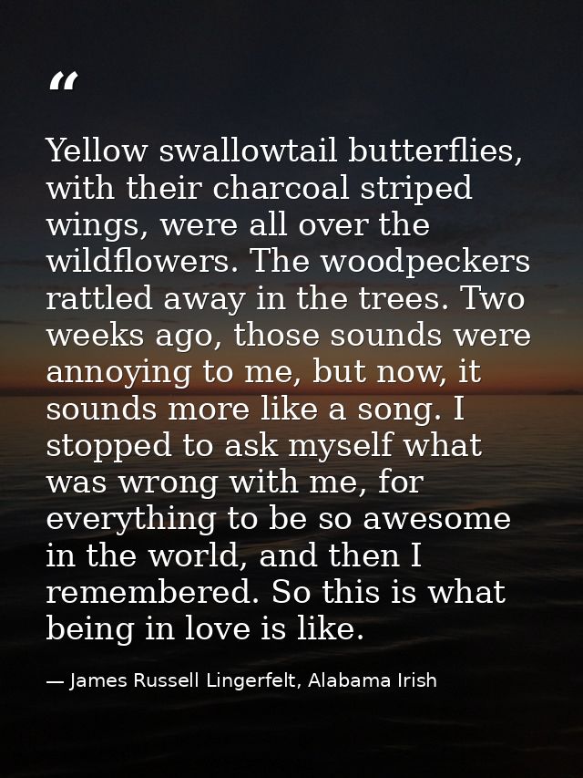 Yellow swallowtail butterflies, with their charcoal striped wings, were all over the wildflowers. The woodpeckers rattle — James Russell Lingerfelt, Alabama Irish