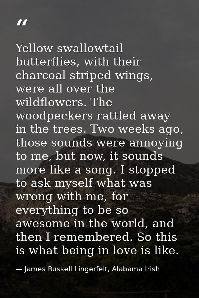Yellow swallowtail butterflies, with their charcoal striped wings, were all over the wildflowers. The woodpeckers rattle — James Russell Lingerfelt, Alabama Irish