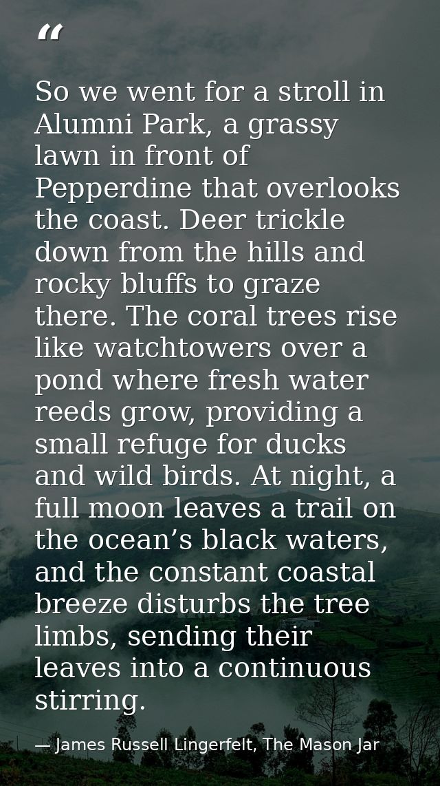 So we went for a stroll in Alumni Park, a grassy lawn in front of Pepperdine that overlooks the coast. Deer trickle down — James Russell Lingerfelt, The Mason Jar
