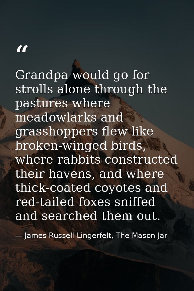 Grandpa would go for strolls alone through the pastures where meadowlarks and grasshoppers flew like broken-winged birds — James Russell Lingerfelt, The Mason Jar