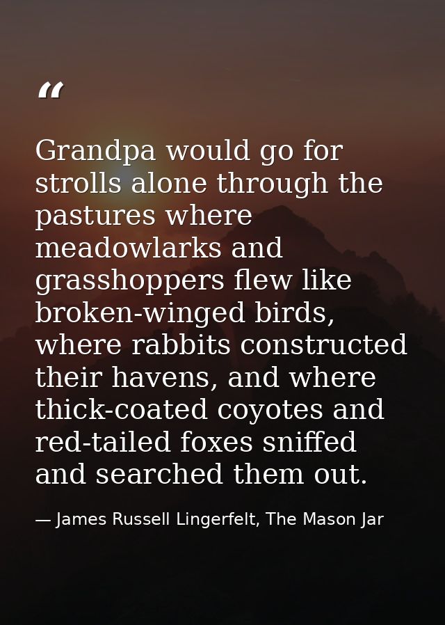 Grandpa would go for strolls alone through the pastures where meadowlarks and grasshoppers flew like broken-winged birds — James Russell Lingerfelt, The Mason Jar