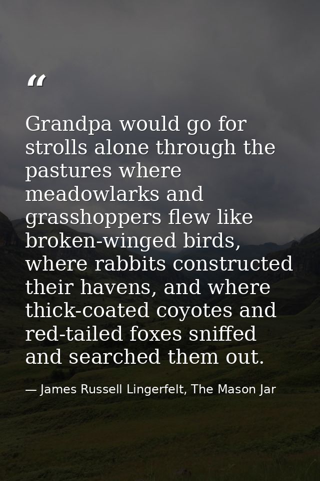 Grandpa would go for strolls alone through the pastures where meadowlarks and grasshoppers flew like broken-winged birds — James Russell Lingerfelt, The Mason Jar
