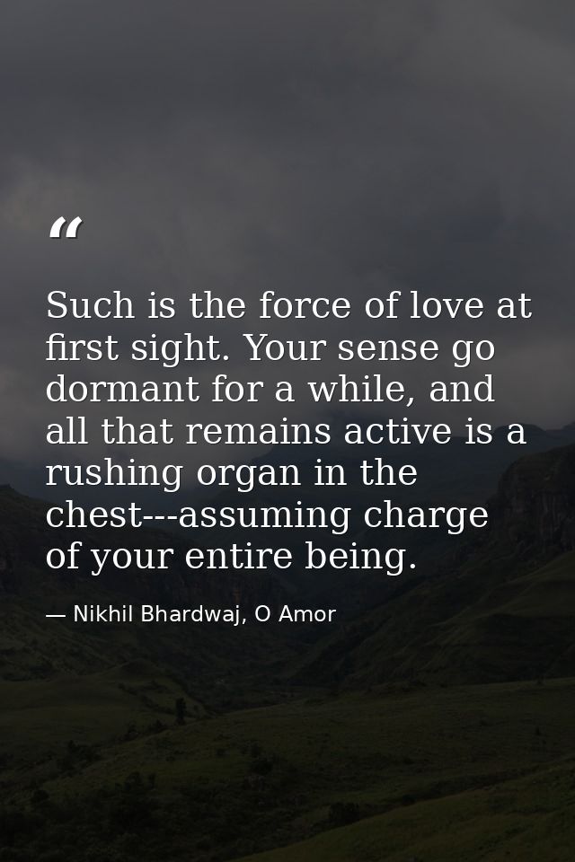 Such is the force of love at first sight. Your sense go dormant for a while, and all that remains active is a rushing or — Nikhil Bhardwaj, O Amor