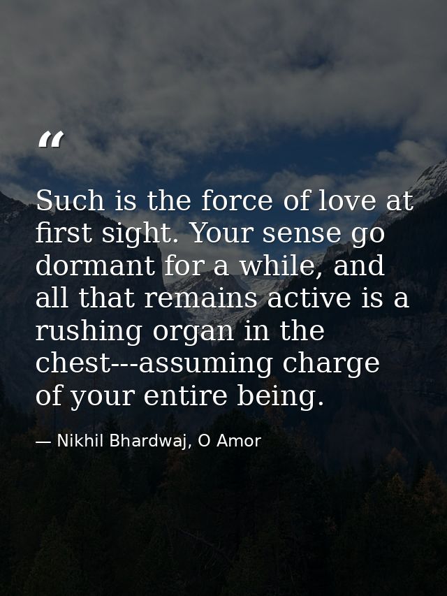 Such is the force of love at first sight. Your sense go dormant for a while, and all that remains active is a rushing or — Nikhil Bhardwaj, O Amor
