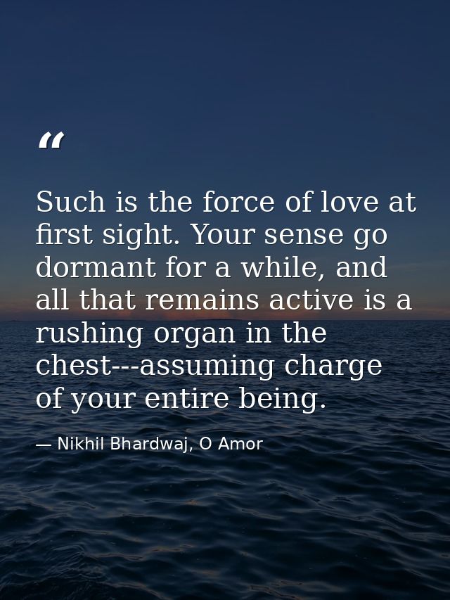 Such is the force of love at first sight. Your sense go dormant for a while, and all that remains active is a rushing or — Nikhil Bhardwaj, O Amor