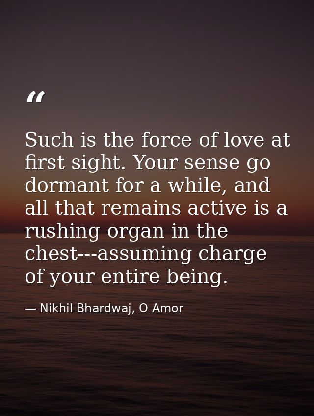 Such is the force of love at first sight. Your sense go dormant for a while, and all that remains active is a rushing or — Nikhil Bhardwaj, O Amor