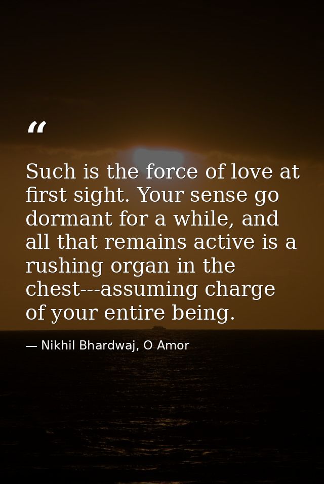 Such is the force of love at first sight. Your sense go dormant for a while, and all that remains active is a rushing or — Nikhil Bhardwaj, O Amor