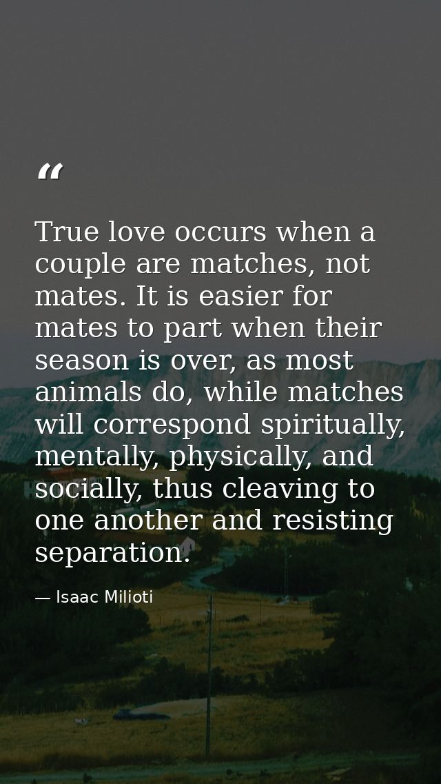 True love occurs when a couple are matches, not mates. It is easier for mates to part when their season is over, as most — Isaac Milioti