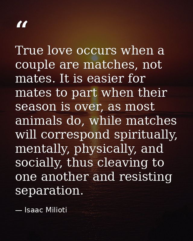 True love occurs when a couple are matches, not mates. It is easier for mates to part when their season is over, as most — Isaac Milioti
