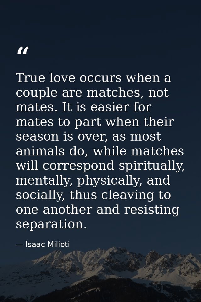 True love occurs when a couple are matches, not mates. It is easier for mates to part when their season is over, as most — Isaac Milioti