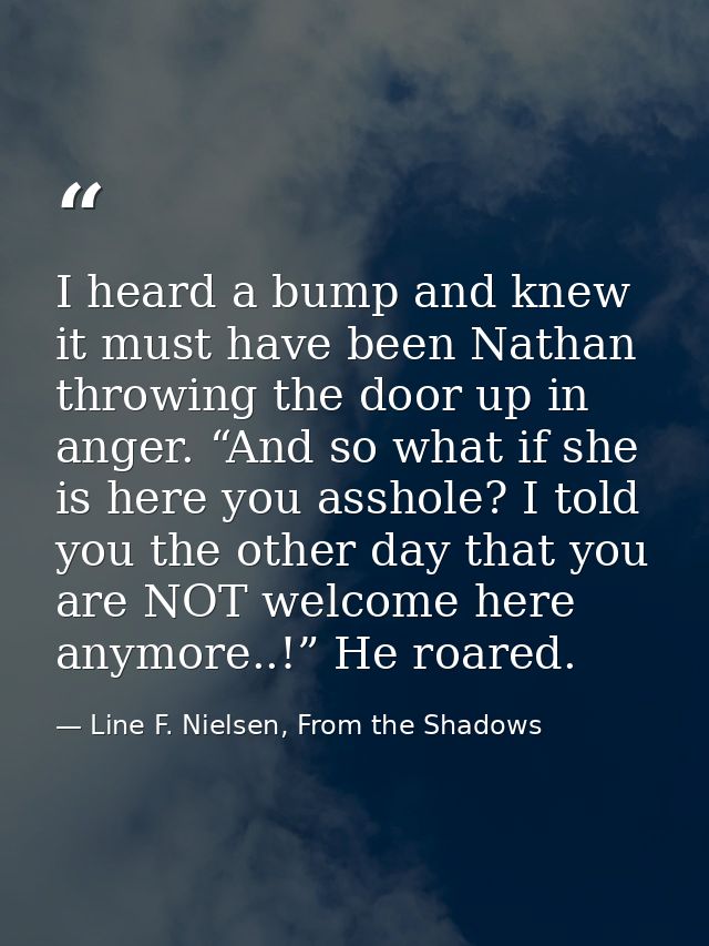 I heard a bump and knew it must have been Nathan throwing the door up in anger. “And so what if she is here you asshole? — Line F. Nielsen, From the Shadows