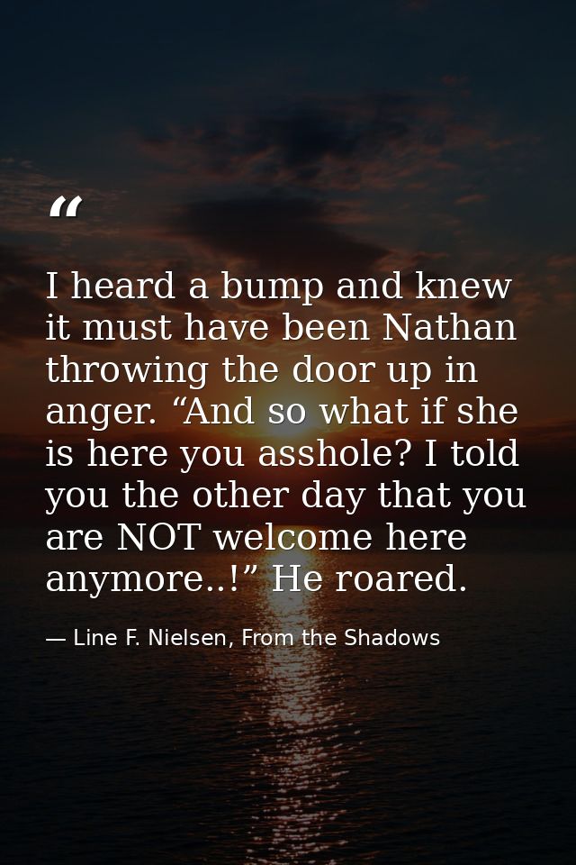 I heard a bump and knew it must have been Nathan throwing the door up in anger. “And so what if she is here you asshole? — Line F. Nielsen, From the Shadows