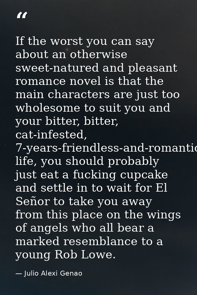 If the worst you can say about an otherwise sweet-natured and pleasant romance novel is that the main characters are jus — Julio Alexi Genao