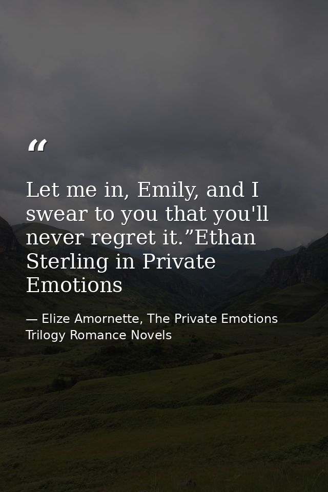 Let me in, Emily, and I swear to you that you'll never regret it.”Ethan Sterling in Private Emotions — Elize Amornette, The Private Emotions Trilogy Romance Novels