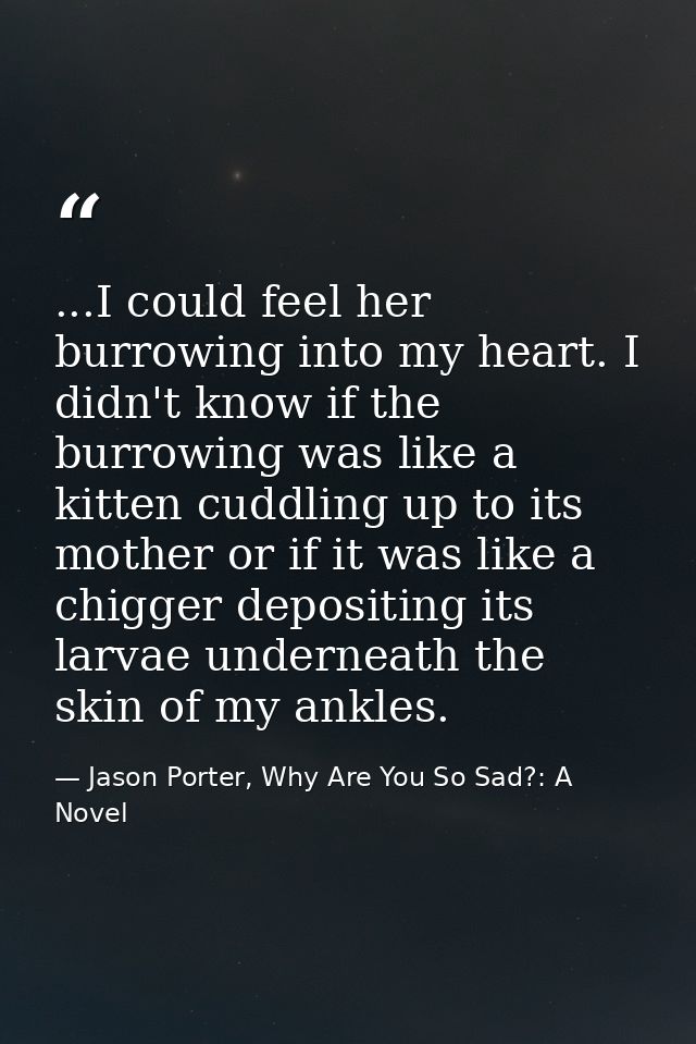 ...I could feel her burrowing into my heart. I didn't know if the burrowing was like a kitten cuddling up to its mother  — Jason Porter, Why Are You So Sad?: A Novel