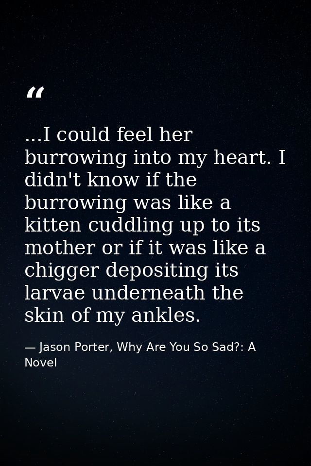 ...I could feel her burrowing into my heart. I didn't know if the burrowing was like a kitten cuddling up to its mother  — Jason Porter, Why Are You So Sad?: A Novel