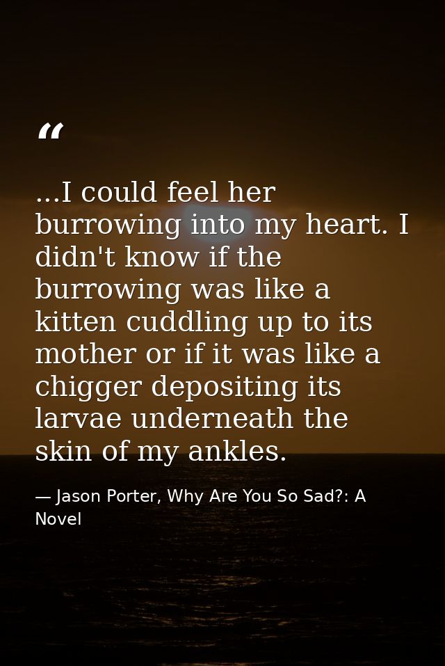 ...I could feel her burrowing into my heart. I didn't know if the burrowing was like a kitten cuddling up to its mother  — Jason Porter, Why Are You So Sad?: A Novel