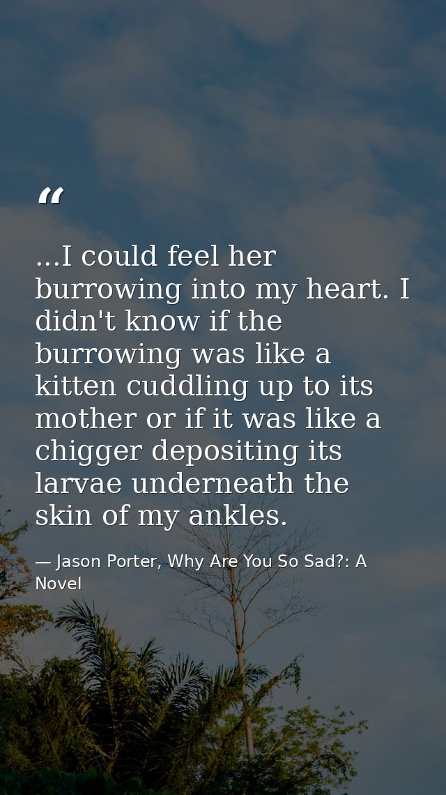 ...I could feel her burrowing into my heart. I didn't know if the burrowing was like a kitten cuddling up to its mother  — Jason Porter, Why Are You So Sad?: A Novel