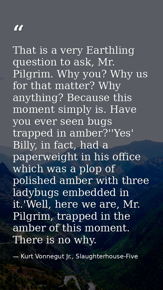 That is a very Earthling question to ask, Mr. Pilgrim. Why you? Why us for that matter? Why anything? Because this momen — Kurt Vonnegut Jr., Slaughterhouse-Five