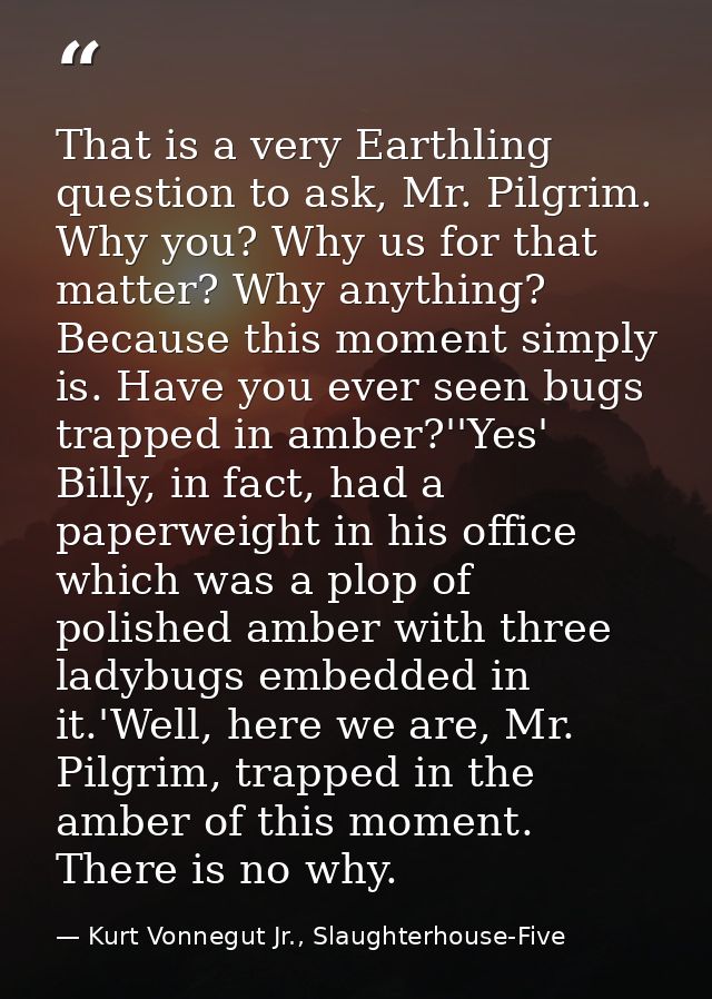 That is a very Earthling question to ask, Mr. Pilgrim. Why you? Why us for that matter? Why anything? Because this momen — Kurt Vonnegut Jr., Slaughterhouse-Five