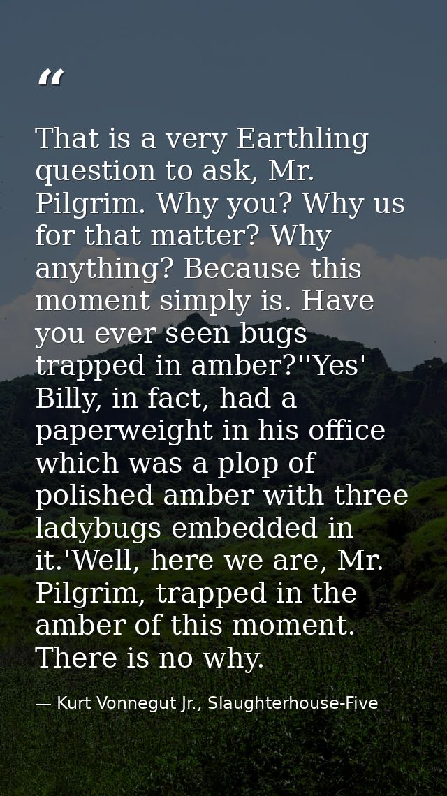That is a very Earthling question to ask, Mr. Pilgrim. Why you? Why us for that matter? Why anything? Because this momen — Kurt Vonnegut Jr., Slaughterhouse-Five