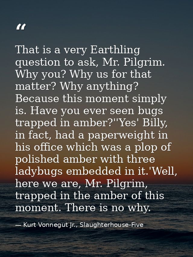 That is a very Earthling question to ask, Mr. Pilgrim. Why you? Why us for that matter? Why anything? Because this momen — Kurt Vonnegut Jr., Slaughterhouse-Five